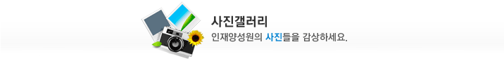 사진갤러리